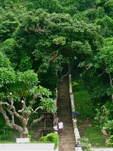 noble-chemin Un noble chemin