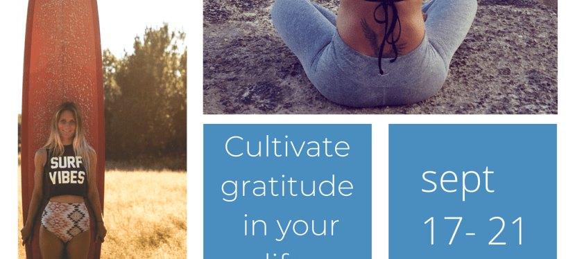 Workshops, Retreats &&nbsp;Events